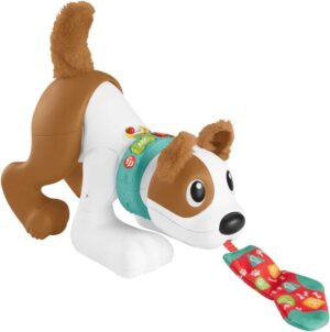 Fisher-Price Perrito Gatea y Juega Conmigo