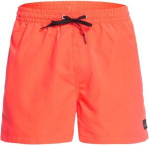 Quiksilver Everyday Volley 15"
