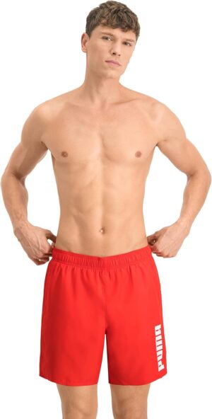Puma Shorts 100001385