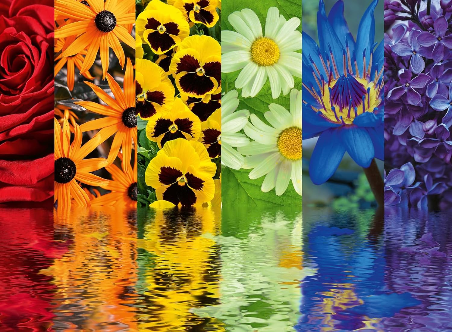 8179ZsM6rnL._AC_SL1500_.jpg Ravensburger Puzzle 500 Piezas Flores